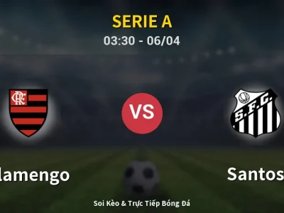 Kết Quả: Flamengo 3-1 Santos – Highlight & Bàn Thắng | Serie A